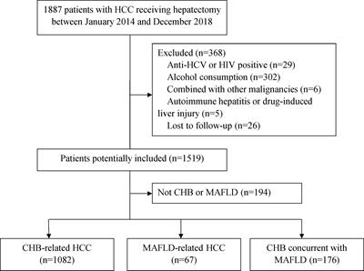 Outcomes of Liver Resection for Metabolic Dysfunction-Associated Fatty Liver Disease or Chronic Hepatitis B-Related HCC